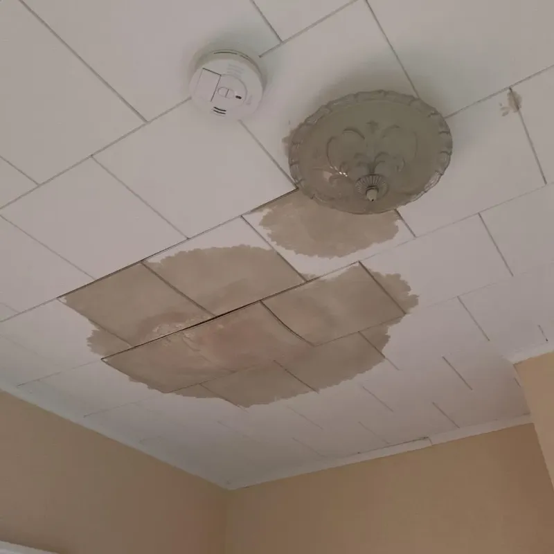 Ceiling Water Damage Repair in Metter, GA