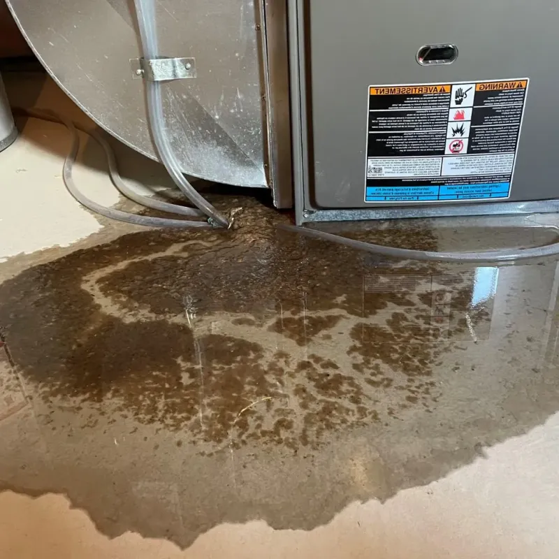Pipe Burst and Leak Restoration in Metter, GA