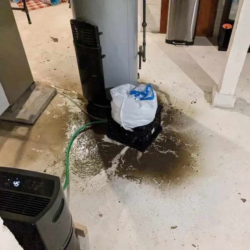 Sewage Backup Cleanup Service in Metter, GA
